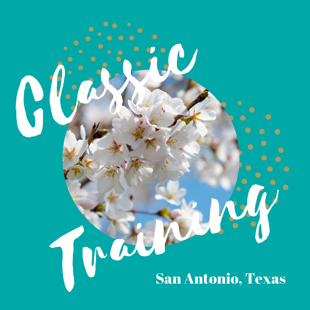 Classic Lash Training